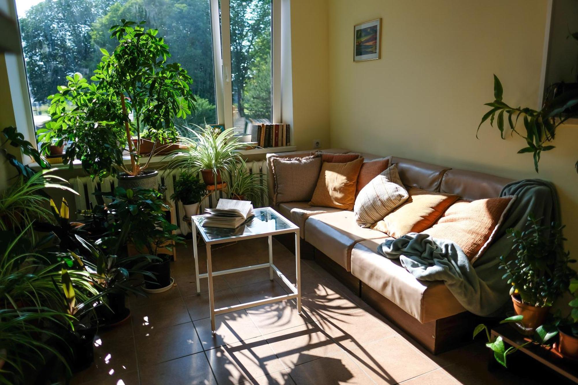 Hostel Nele Jõhvi 外观 照片